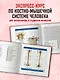 Анатомия человека. Компактный атлас. Опорно-двигательный аппарат - фото 5