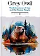 The Adventures of Sajo and Her Beaver People - фото 1
