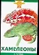 Зол.сов.Хамелеоны - фото 1