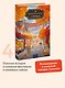 Книжная деревушка в Шотландии. Осень чудес - фото 4