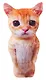 Мягкая игрушка Кот рыжий Мем (40см) (9.429.2) - фото 1