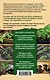 Как не потеряться среди сорняков. Стратегия и тактика борьбы за урожай - фото 2