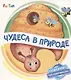 Чудеса в природе - фото 1