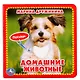 Домашние животные - фото 1