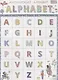 Английский алфавит А3 - фото 1