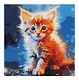 Холст с красками по номерам в коробке "Малыши". Рыжий котёнок 30х30, 20 цветов - фото 1