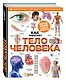 Тело человека - фото 3