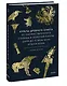 Культы Древнего Египта. От обожествленного солнца и золотой плоти царя до птицы Бену и бога Нуна - фото 3