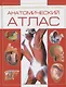 Анатомический атлас. Основы строения и физиологии человека - фото 1