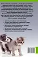 Реакция Вассермана и Латыпова на мифы, легенды и другие шутки истории - фото 2