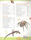 Животные. Новая детская энциклопедия - фото 4
