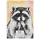 Скетчбук А5 60л "SKETCHBOOK. Raccoon", 120г/м2, софт. тач, евроспираль - фото 1