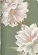 Тетрадь общая «Blossom. Лотос», 48 листов в клетку, А5 - Be Smart - фото 1
