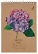 Скетчбук 140*200 40л "Гортензия" 120 г/м2, крафт. картон, выборочный лак, евроспираль - фото 1