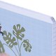 Тетрадь общая «Mur - mur. Шалость», 48 листов в клетку, А5 - Be Smart - фото 3