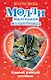 Самый умный котёнок - фото 1