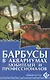 Барбусы в аквариумах любителей и профессионалов - фото 1