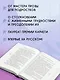 Алое небо рассвета - фото 5