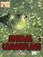 Animal Camouflage. Level 2. Книга для чтения - фото 1