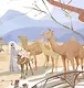 Верблюжонок Омар и его мечта - фото 4