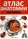 Атлас анатомии человека . 2-е издание дополненное и переработанное - фото 1