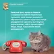 Кошичкин тилипон. Правдиви истори о котиках и их никчемни. Экспресс-помощь для тех, кто застрял в рутине и ищет вдохновение - фото 12