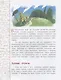 Подсмотрено у природы - фото 2
