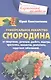 Смородина - уникальное лекарство - фото 1