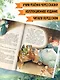 Серебряная книга сказок. Илл. Тони Вульфа - фото 5