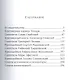 Святые в истории. Жития святых в новом формате. XII–XV века - фото 2