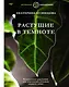 Растущие в темноте. Комнатные растения для укромных уголков вашего дома - фото 1