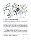 Морж, учитель и поэт - фото 6