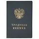 Бланк «Трудовая книжка РФ», Гознак - фото 5