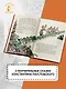 Сказки - фото 5