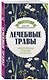 Лечебные травы. Иллюстрированный справочник-определитель - фото 3