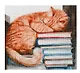 Алмазная мозаика (классическая) с подрамником, с полным заполнением "Котик спит в книгах", 30 х 30 см - фото 2