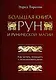 Большая книга рун и рунической магии. Как читать, понимать и использовать руны - фото 1
