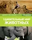 Удивительный мир животных - фото 1