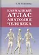 Карманный атлас анатомии человека - фото 1