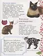Как воспитать котенка + наклейки внутри - фото 4