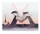 Пакет А4 26*32*10 СПб "Кот, Дворцовый мост, Петропавловская крепость" горизонт., бум.мат.ламинат - фото 1