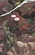Justice League Dark Vol.3 Death Magic - фото 3