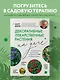 Декоративные лекарственные растения на даче. Как выращивать, заготавливать и применять 200 популярных видов - фото 4