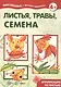 Листья, травы, семена. Аппликация из листьев (для детей 5-7 лет) - фото 1