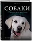 Собаки. Подарочная иллюстрированная энциклопедия - фото 3