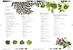 Remarkable plants - фото 2
