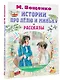 Истории про Лёлю и Миньку. Рассказы - фото 3