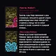 Трактир «Ямайка». Моя кузина Рейчел - фото 4