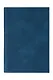 Обложка для паспорта (синяя) (софт тач) (12-BLUEDOT-202510-A1-024) - фото 2