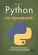 Python на примерах. Практический курс по программированию, 2-е издание - фото 1